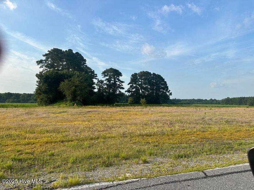 0 Lloyd Corey Road Robersonville, NC 27871 - Photo 2 of 2 Lloyd corey lot2