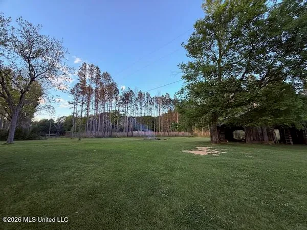 $159,000 | 199 Z C Rushing Road, Tylertown, MS 39667