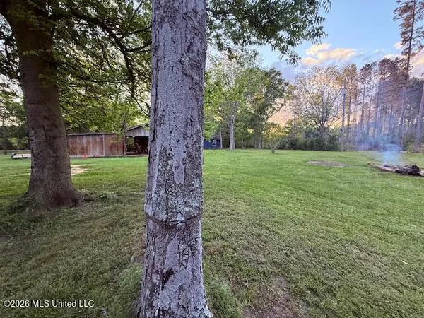 $159,000 | 199 Z C Rushing Road, Tylertown, MS 39667