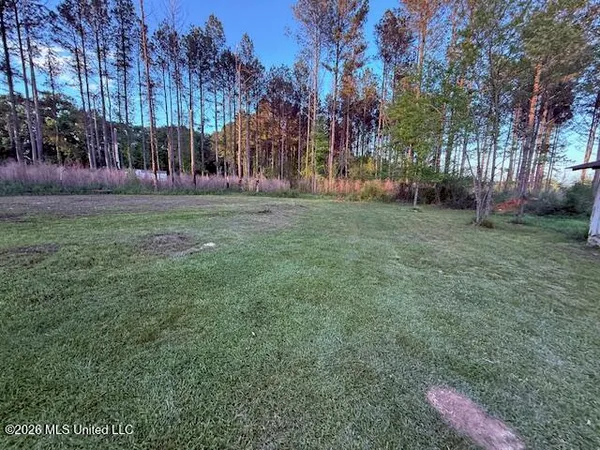 $159,000 | 199 Z C Rushing Road, Tylertown, MS 39667