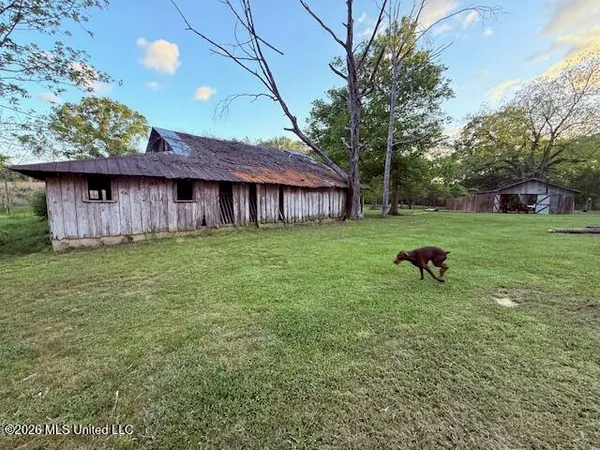 $159,000 | 199 Z C Rushing Road, Tylertown, MS 39667