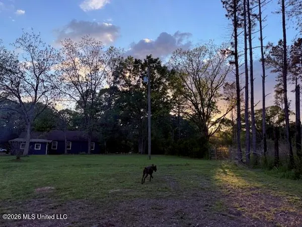 $159,000 | 199 Z C Rushing Road, Tylertown, MS 39667