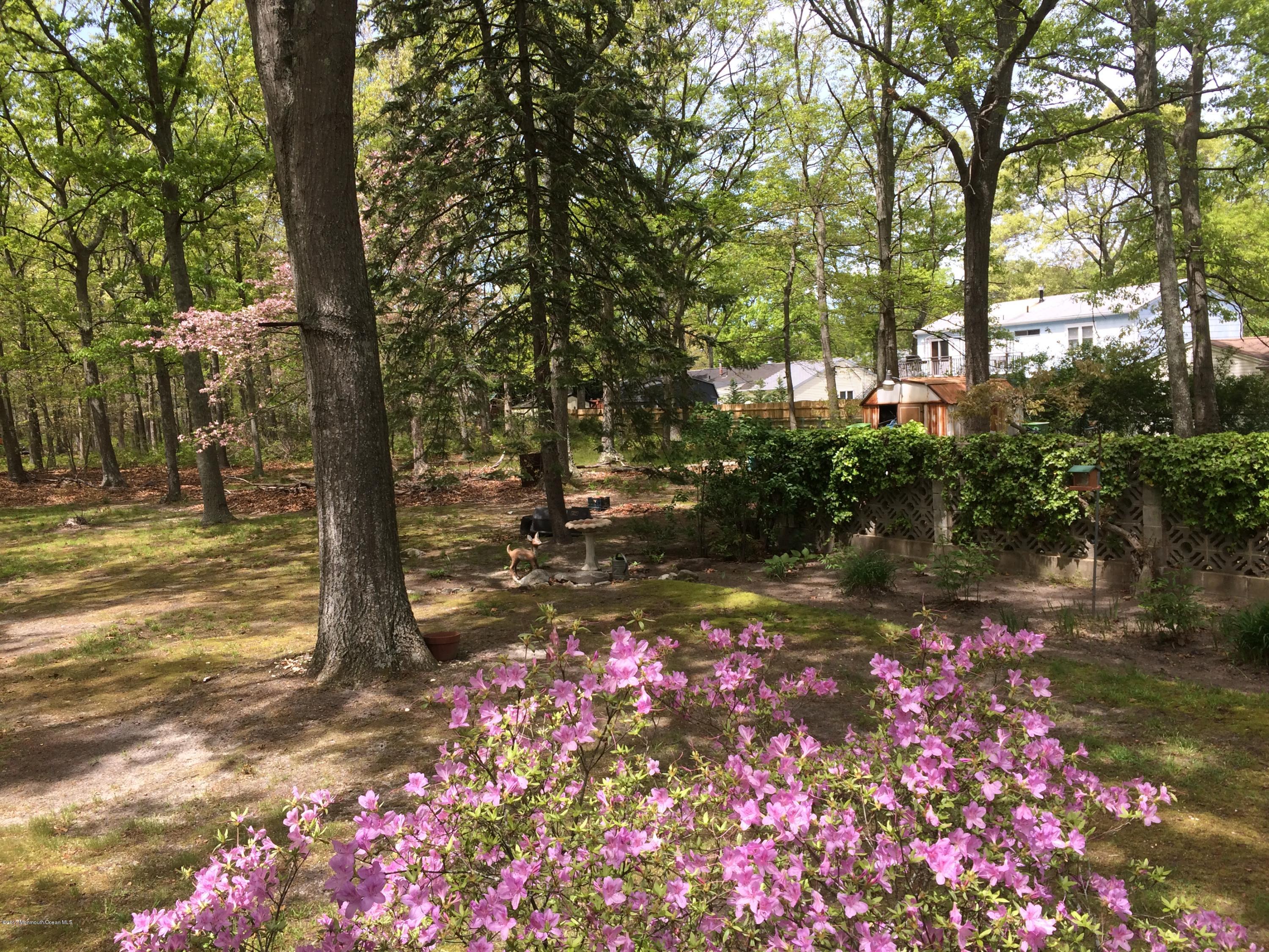 58 Cranmer Road Bayville, NJ 08721 - Photo 26 of 27 IMG_5016
