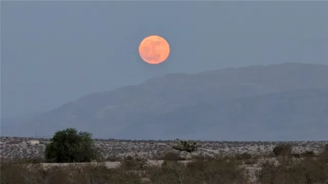 $369,000 | 74707 Sunset, Twentynine Palms, CA 92277