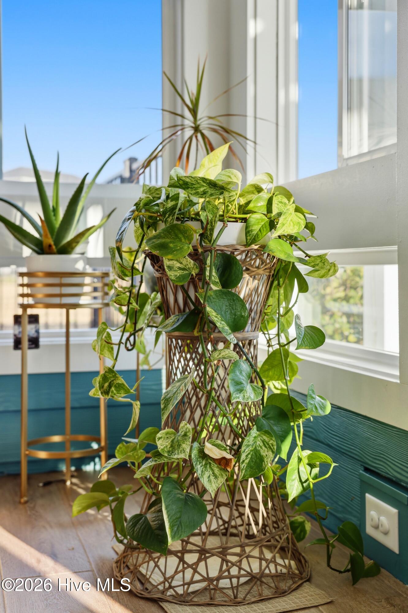 Undisclosed Address Holly Ridge, NC 28445 - Photo 47 of 89 66_566_moss_lake_ln_066