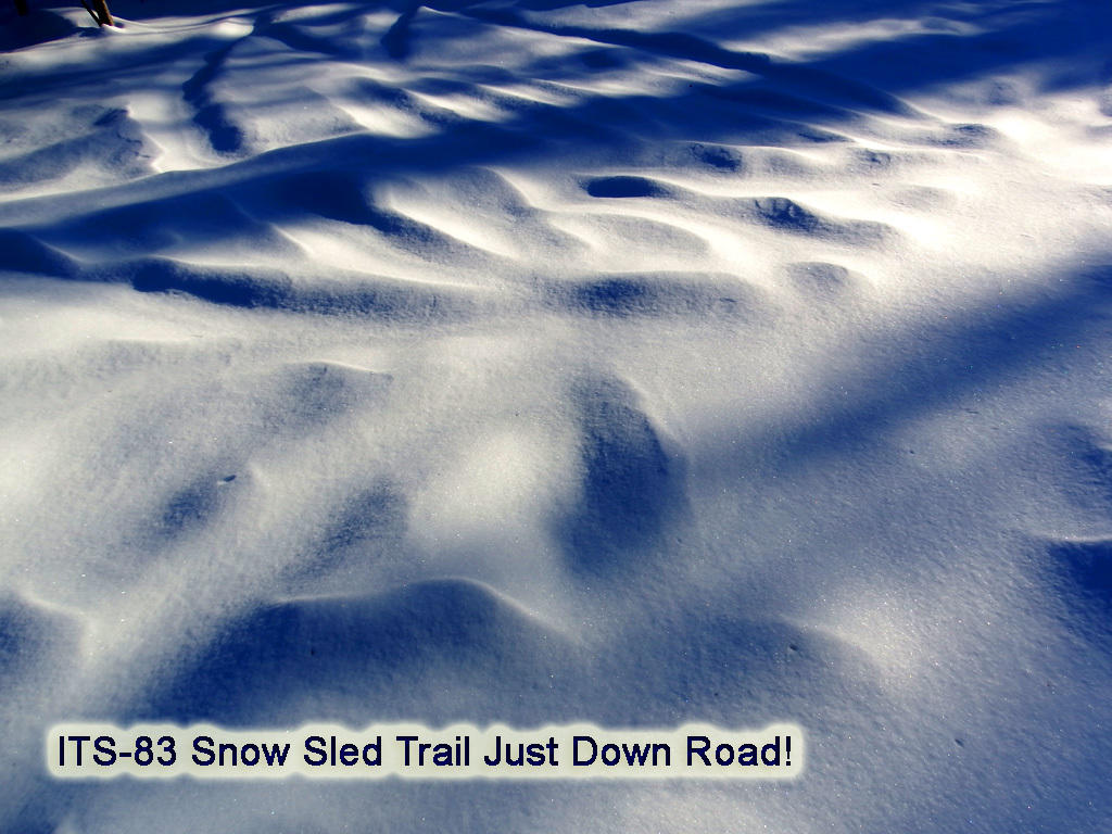 342 Station Road Littleton, ME 04730 - Photo 2 of 21 342-station-rd-land-6