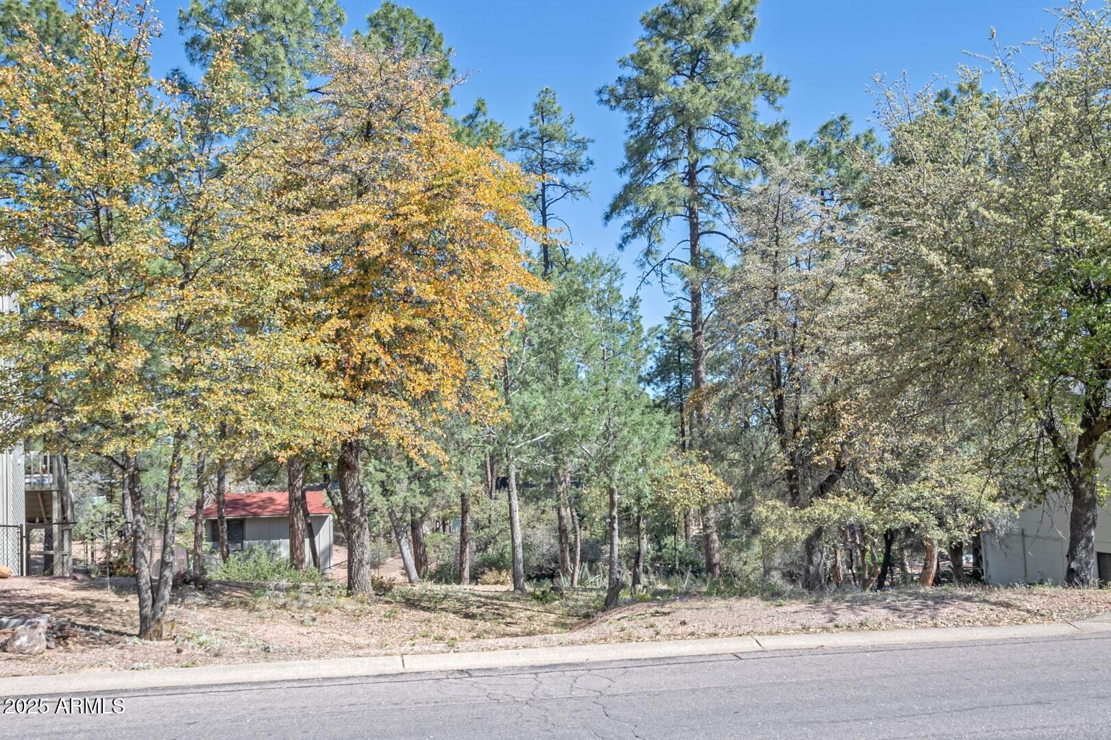 512 West Overland Road, Unit 83 Payson, AZ 85541 - Photo 20 of 33 a park view with large trees