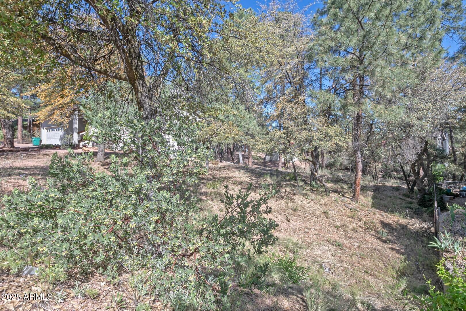512 West Overland Road, Unit 83 Payson, AZ 85541 - Photo 26 of 33 a view of a yard with a tree