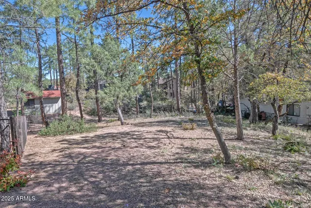 a view of outdoor space with trees