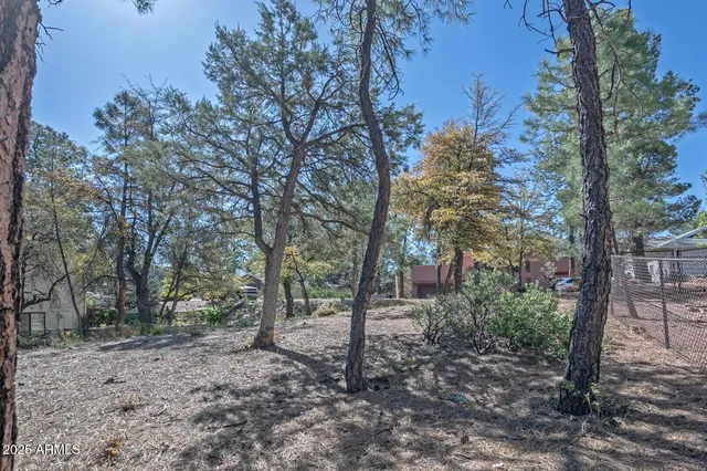 a view of a yard with plants and trees