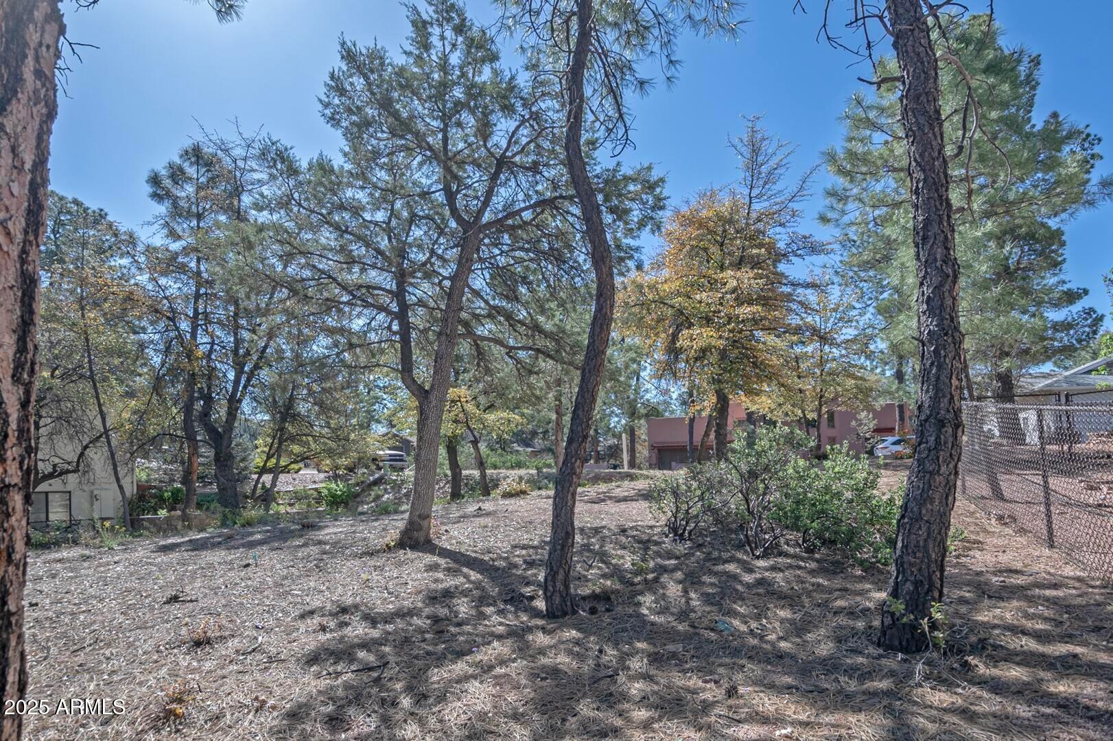 512 West Overland Road, Unit 83 Payson, AZ 85541 - Photo 32 of 33 a view of a forest filled with trees