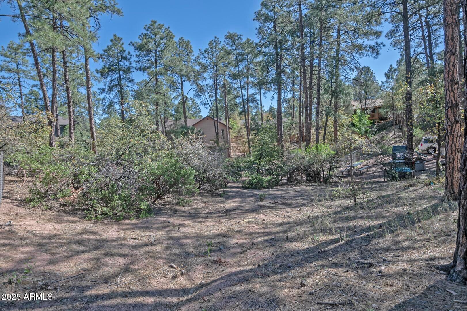 512 West Overland Road, Unit 83 Payson, AZ 85541 - Photo 33 of 33 a view of a yard with plants and trees