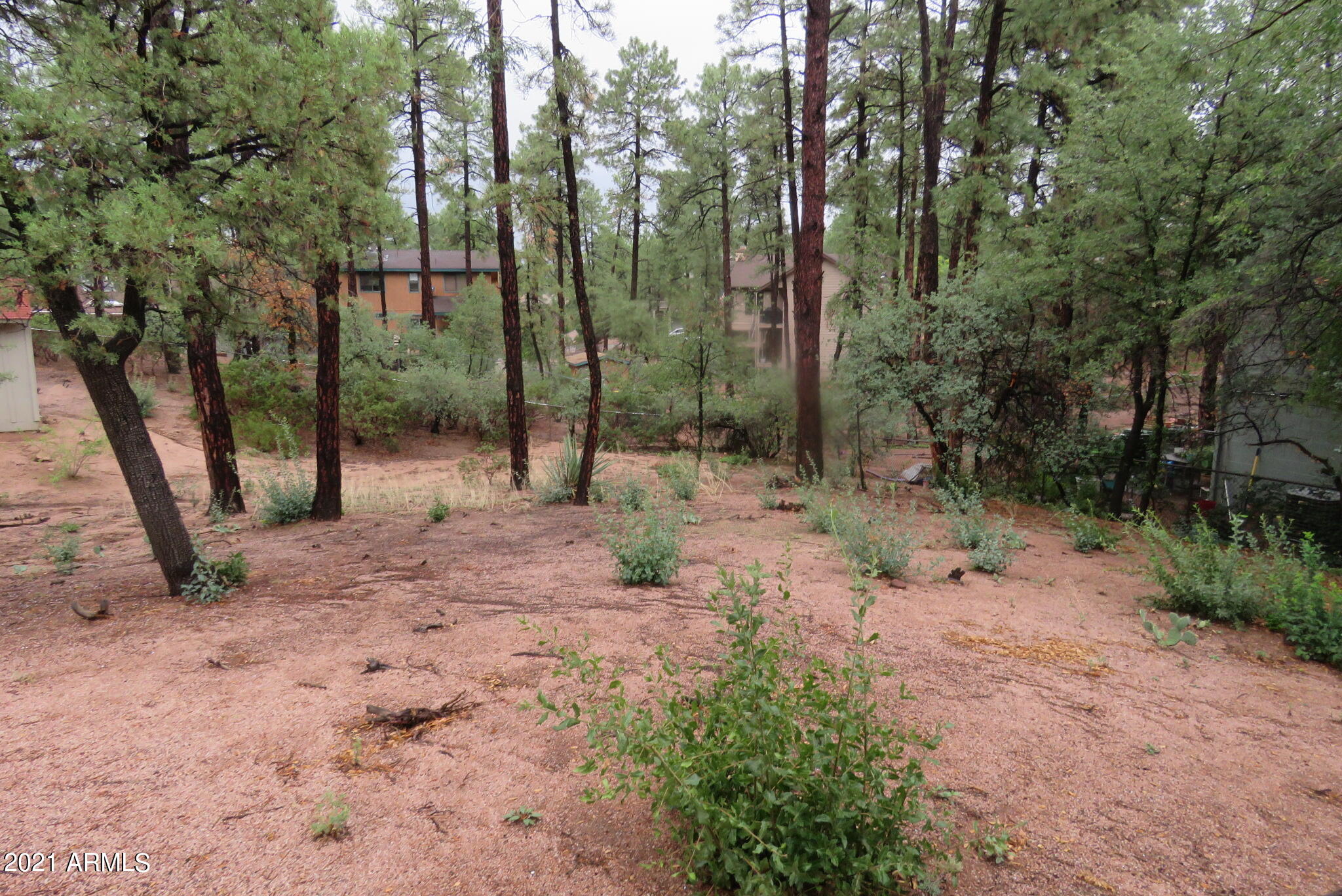 512 West Overland Road, Unit 83 Payson, AZ 85541 - Photo 5 of 33 a view of a forest with trees in the background