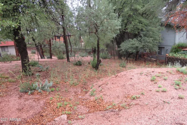 a view of a backyard with large trees