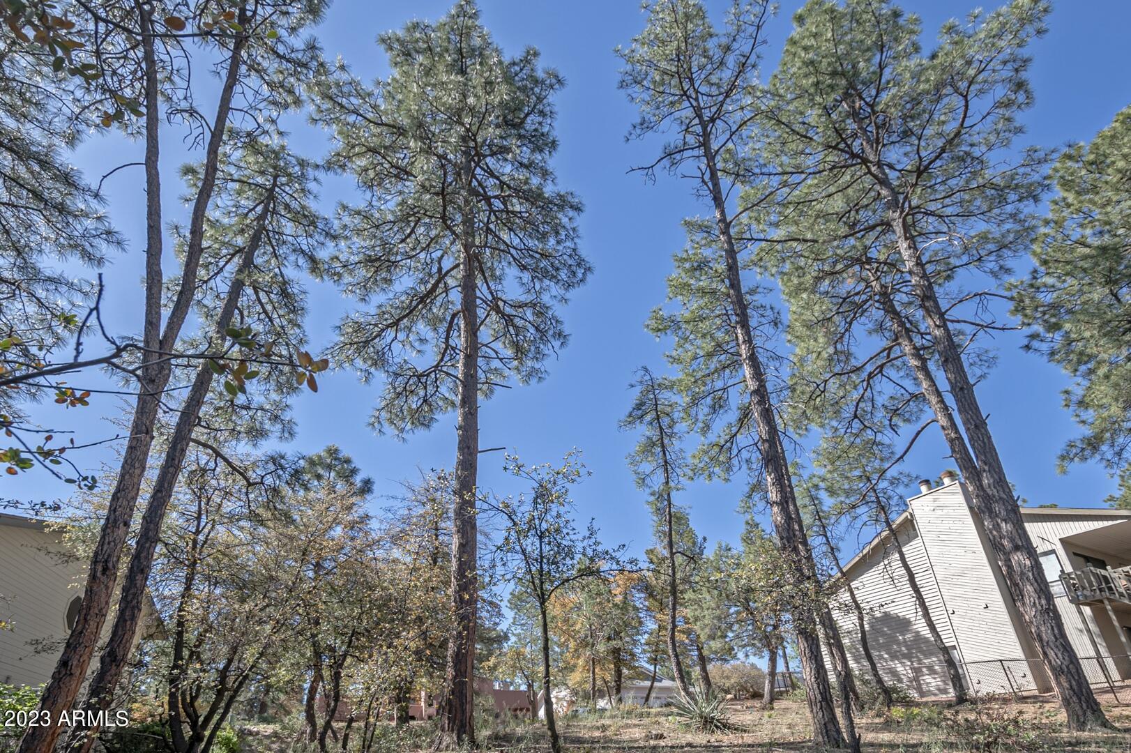 512 West Overland Road, Unit 83 Payson, AZ 85541 - Photo 9 of 33 a view of a forest