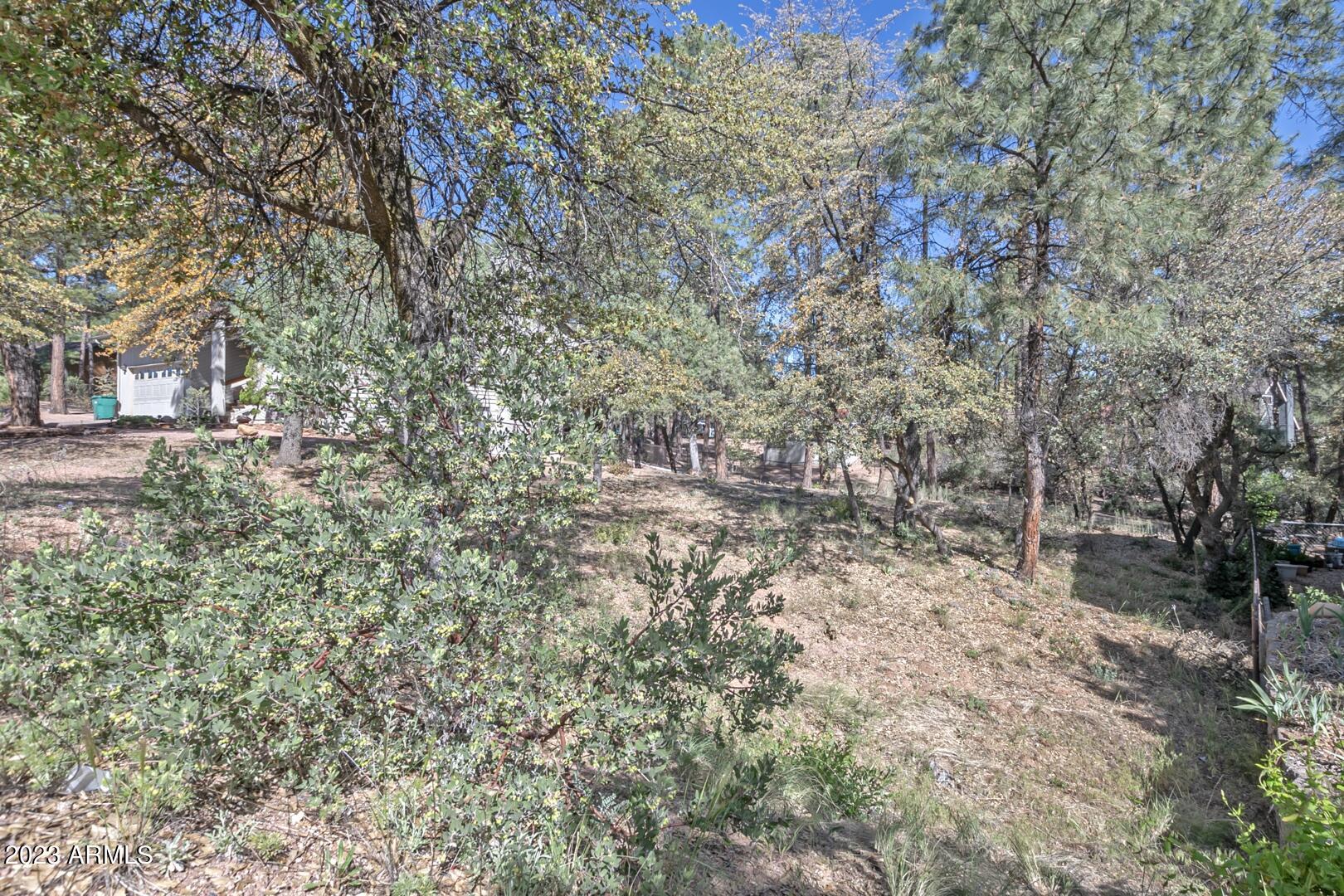 512 West Overland Road, Unit 83 Payson, AZ 85541 - Photo 10 of 33 a view of a yard with plants and trees