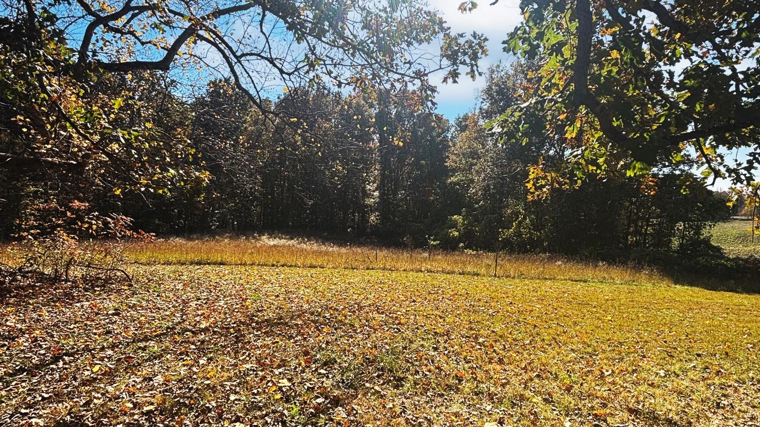 1645 Liberty Road Camden, TN 38320 - Photo 19 of 19 Gallery Image 19