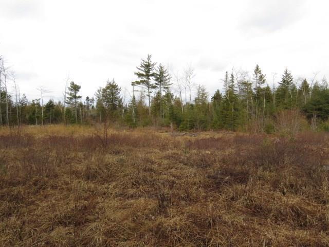 209 Bert Gray Road Sullivan, ME 04664 - Photo 17 of 34 Photo