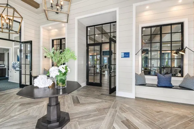 a view of a backyard with plants and palm tree