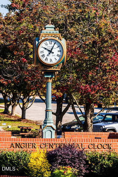 198 Hank Way Angier, NC 27501 - Photo 42 of 54 Angier MLS-4