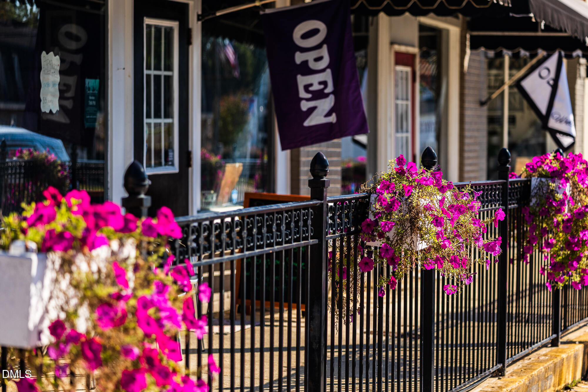 198 Hank Way Angier, NC 27501 - Photo 48 of 54 Downtown Angier (14)