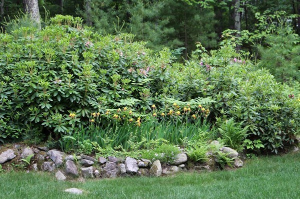 7 Richardson Road Boxborough, MA 01719 - Photo 29 of 29
