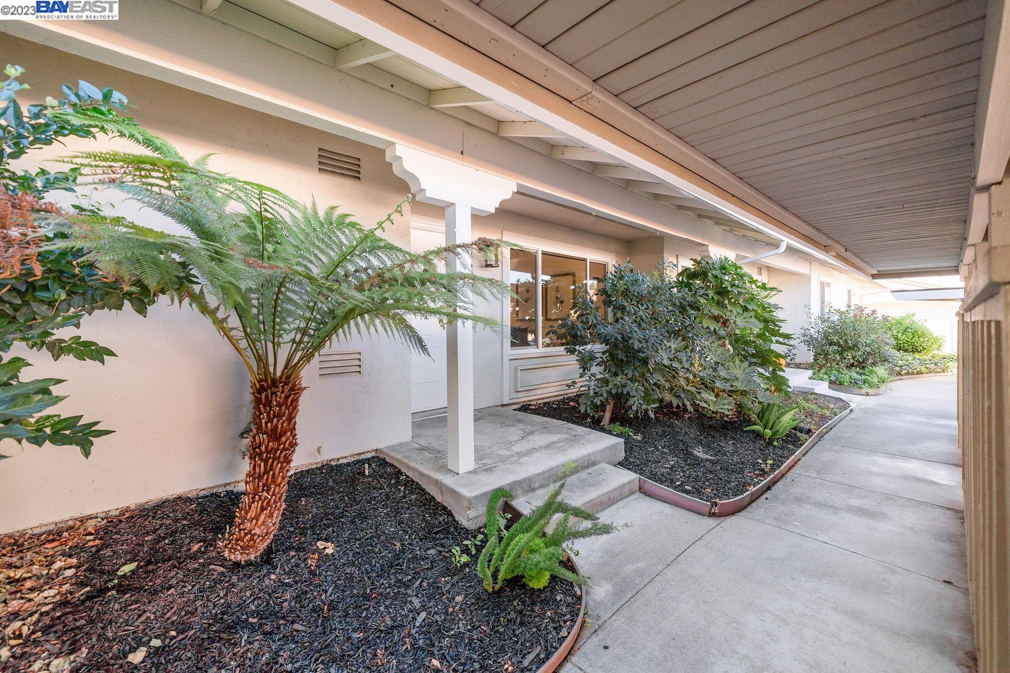 560 La Copita Court San Ramon, CA 94583 - Photo 1 of 1 a potted plant sitting in front of a house