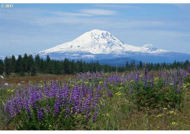 Lipo Road, Unit 31 Centerville, WA 98613 - Photo 1 of 14 Gallery Image 1