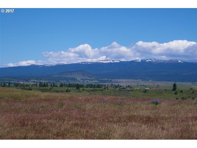 Lipo Road, Unit 31 Centerville, WA 98613 - Photo 11 of 14 Gallery Image 11