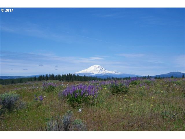 Lipo Road, Unit 31 Centerville, WA 98613 - Photo 12 of 14 Gallery Image 12