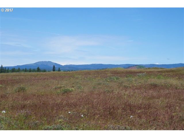 Lipo Road, Unit 31 Centerville, WA 98613 - Photo 5 of 14 Gallery Image 5