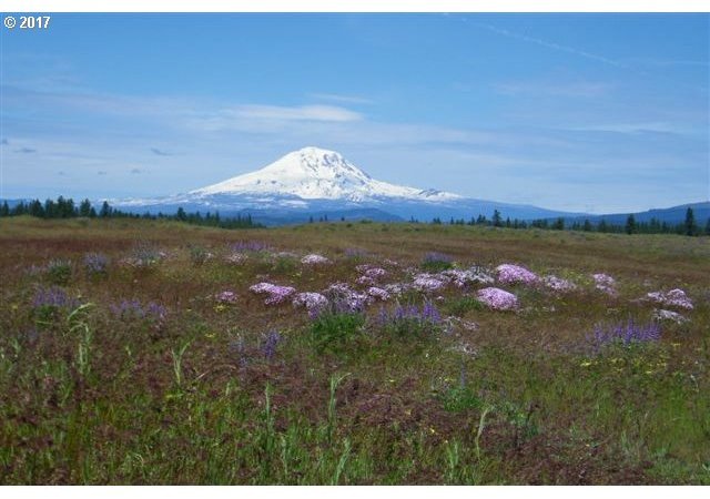 Lipo Road, Unit 31 Centerville, WA 98613 - Photo 6 of 14 Gallery Image 6
