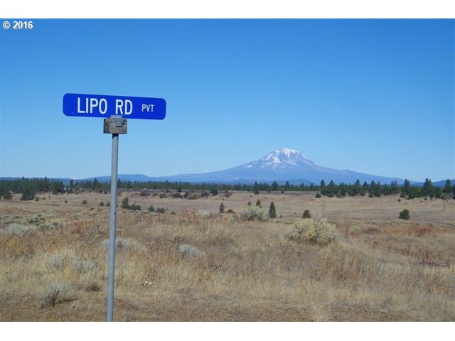 Lipo Road, Unit 31 Centerville, WA 98613 - Photo 10 of 14 Gallery Image 10