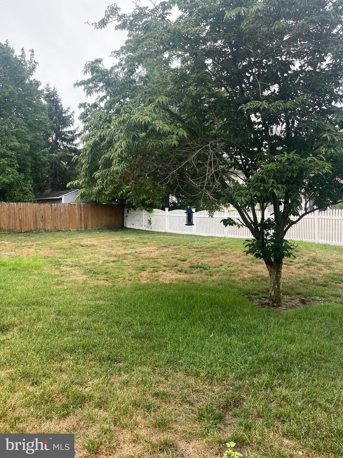310 South Chester Avenue Delran, NJ 08075 - Photo 40 of 44 Back yard