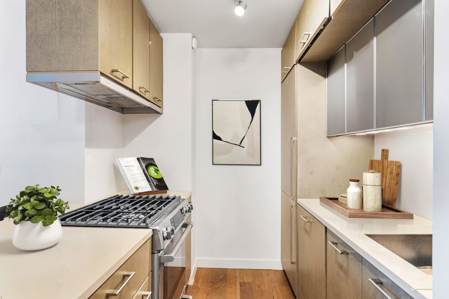 225 Rector Place, Unit 3B Manhattan, NY 10280 - Photo 4 of 10