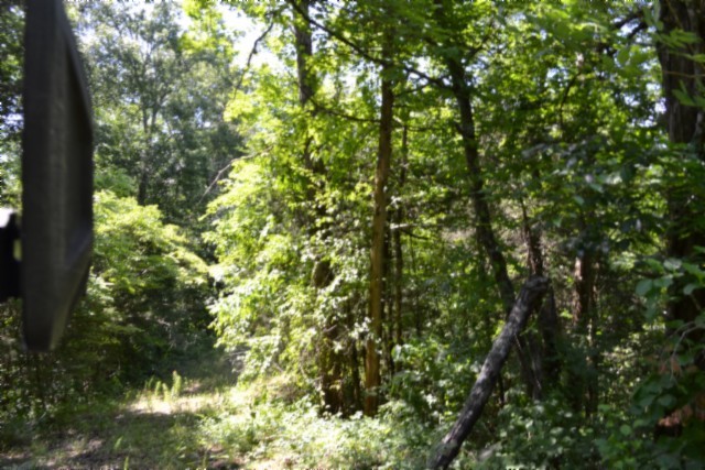 0 Beauchamp Road Burkesville, KY 42717 - Photo 26 of 41