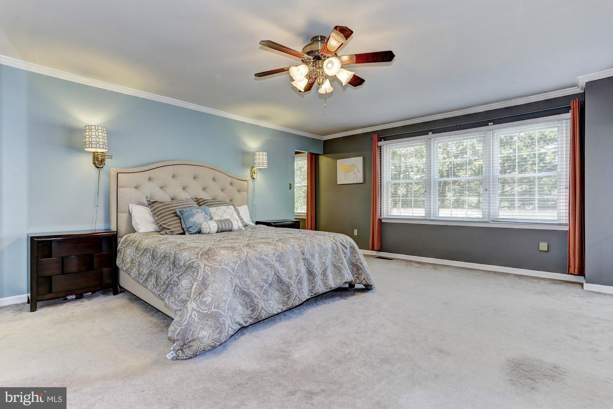 5010 Ten Mills Road Columbia, MD 21044 - Photo 14 of 30 Master Suite