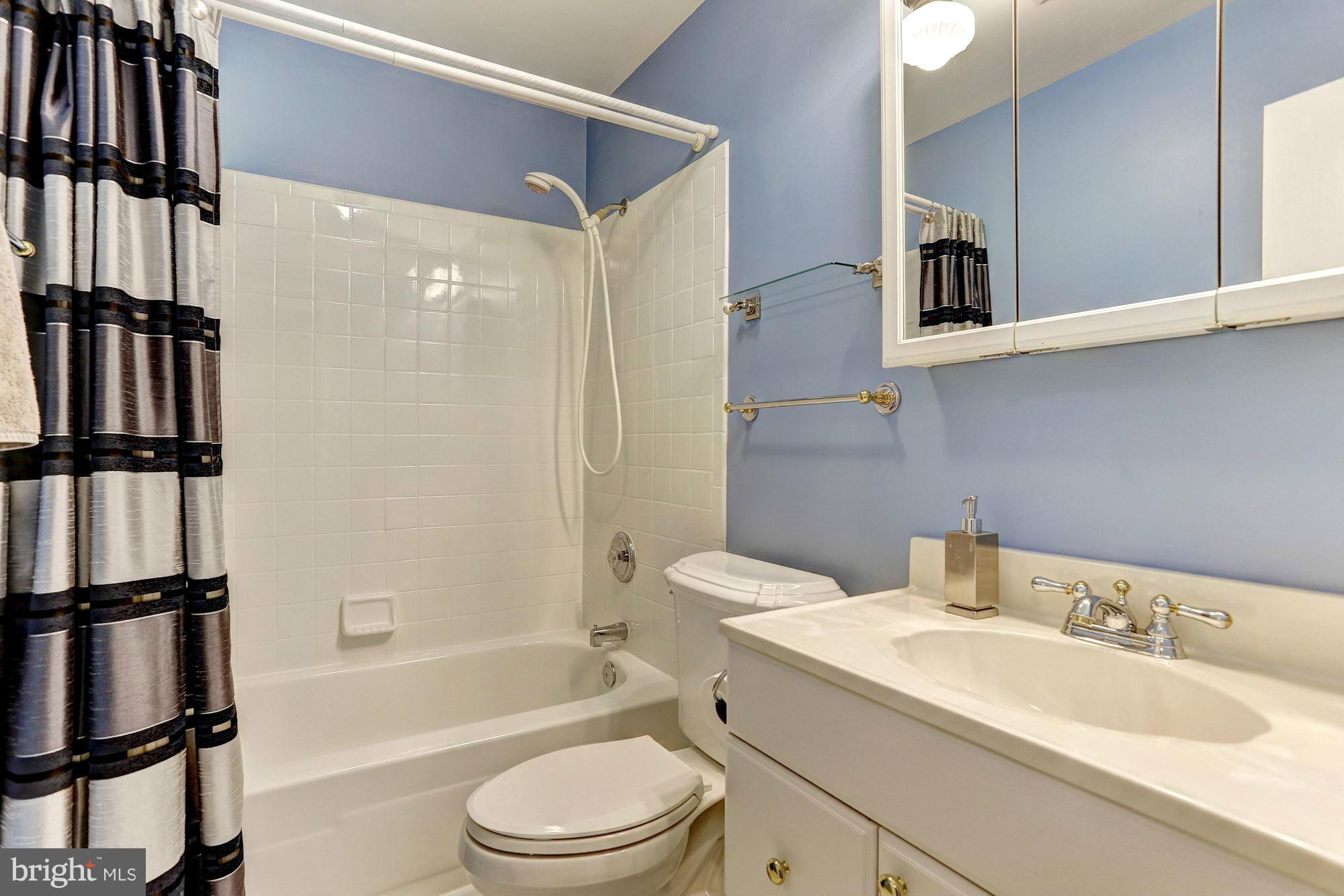 5010 Ten Mills Road Columbia, MD 21044 - Photo 23 of 30 Full Bath