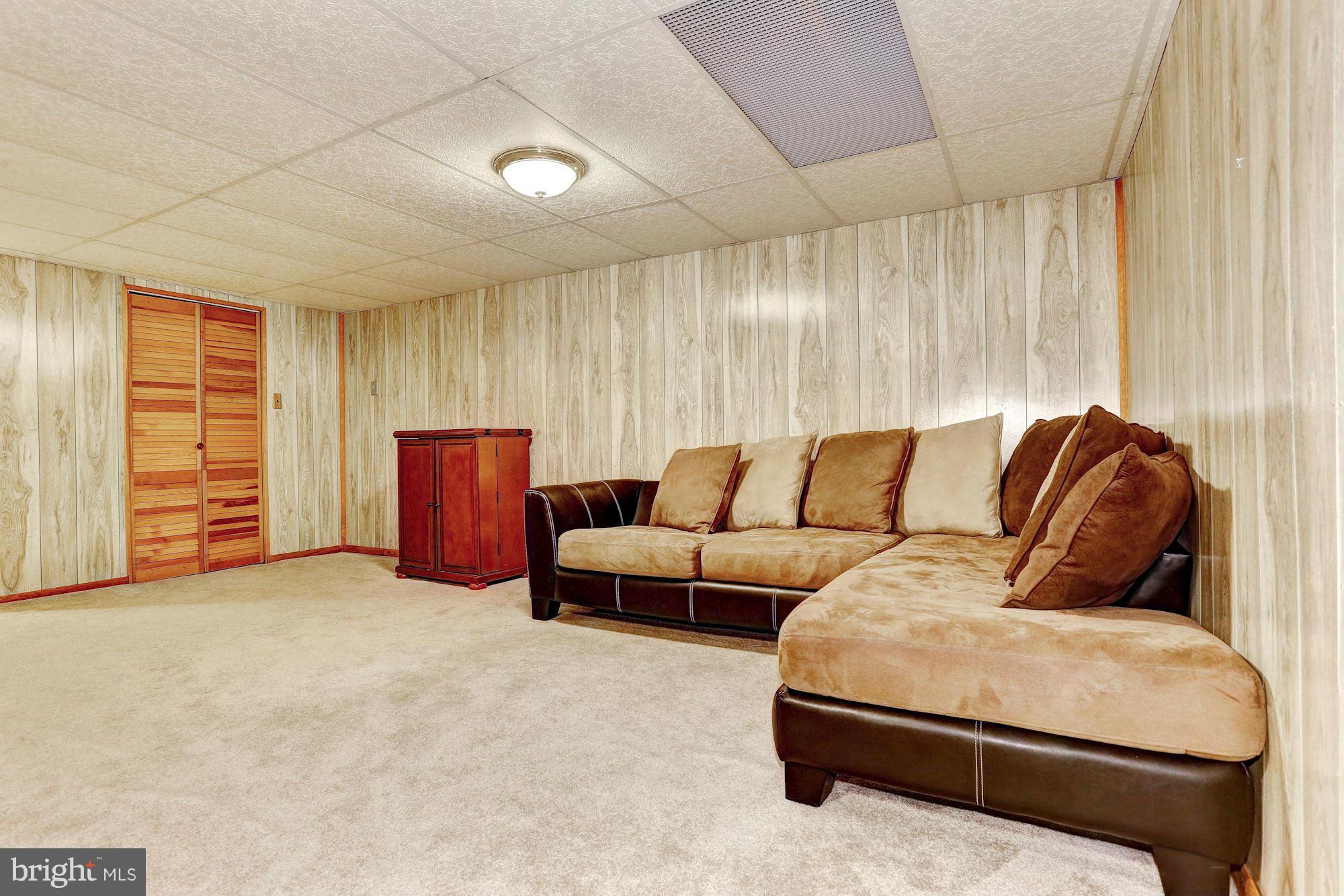 5010 Ten Mills Road Columbia, MD 21044 - Photo 24 of 30 Recreation Room