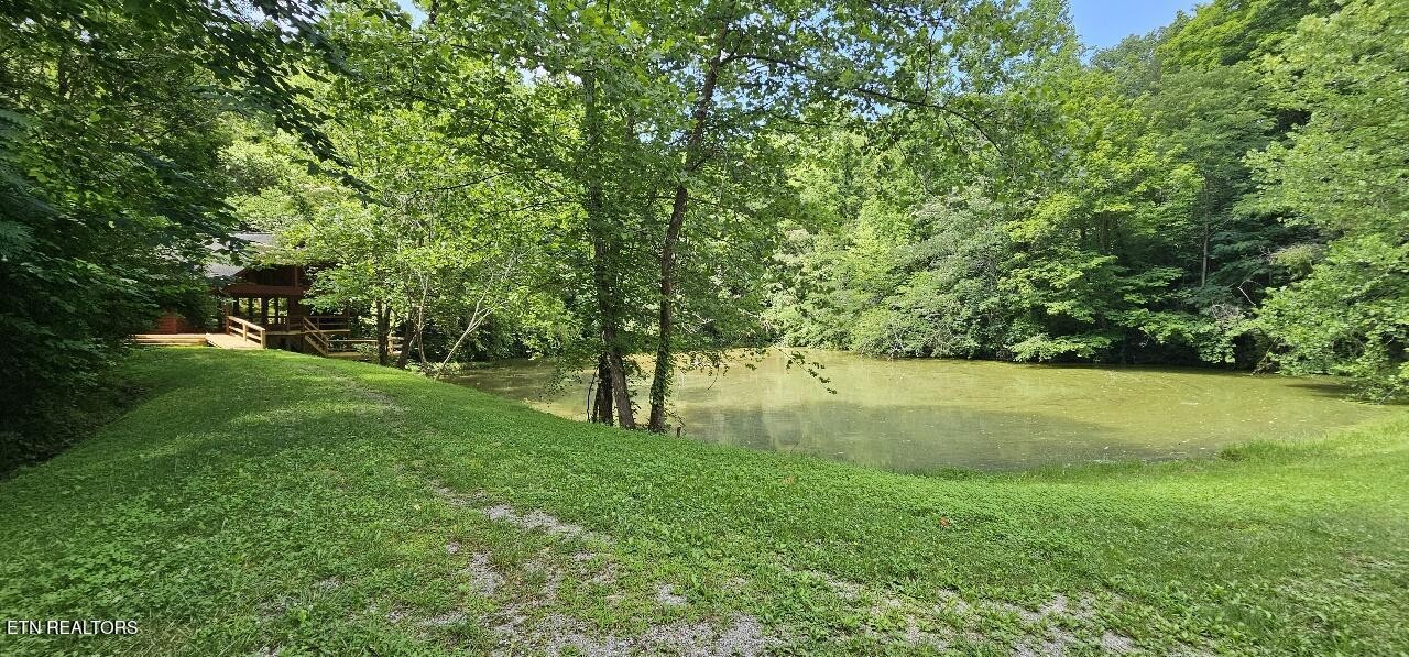360 Front Street Luttrell, TN 37779 - Photo 39 of 53