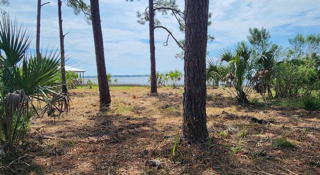 Lot 1 River Cove Road Panacea, FL 32346 - Photo 10 of 12 Gallery Image 10