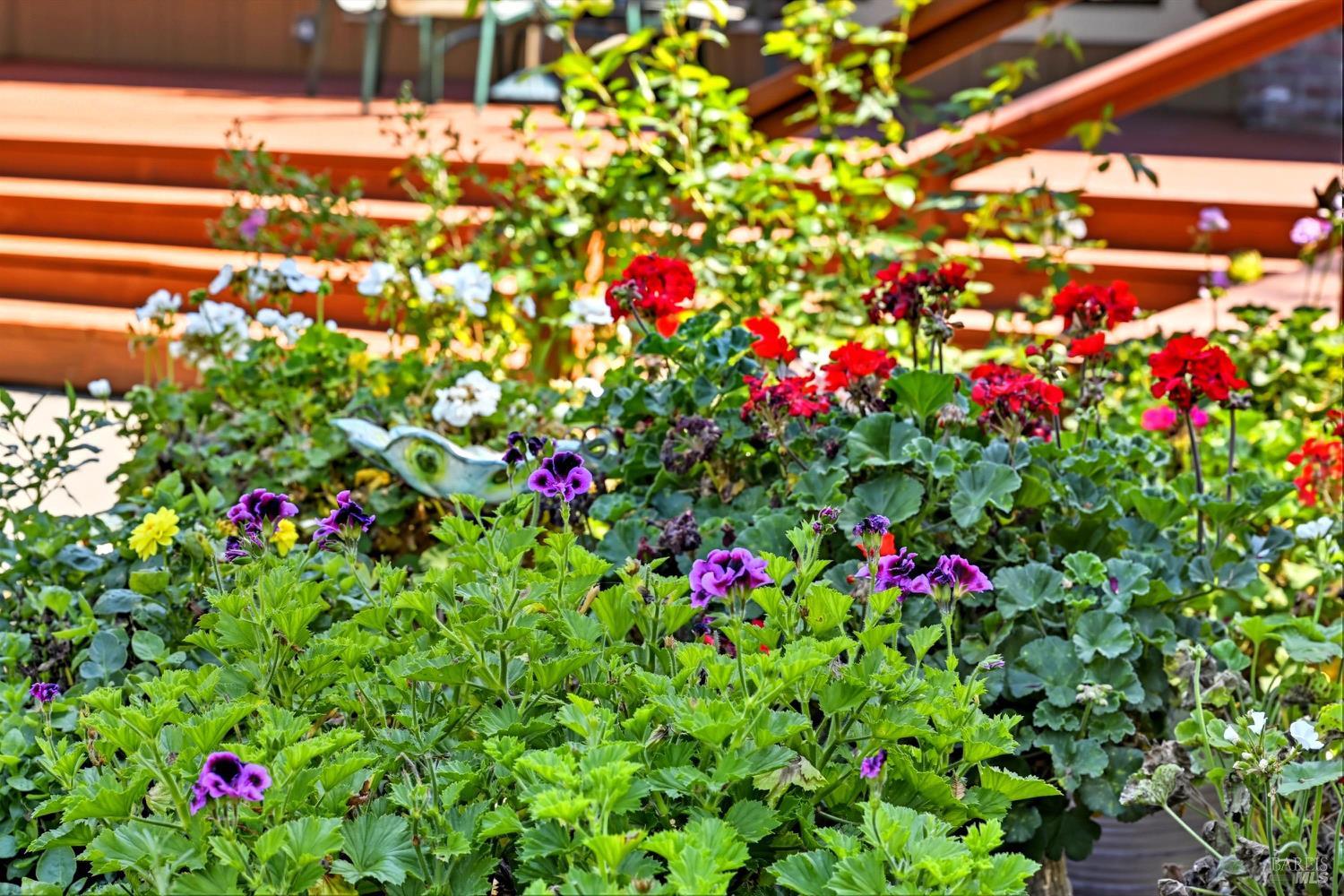 2487 Olivet Road Santa Rosa, CA 95401 - Photo 40 of 48 a view of a flower in a garden