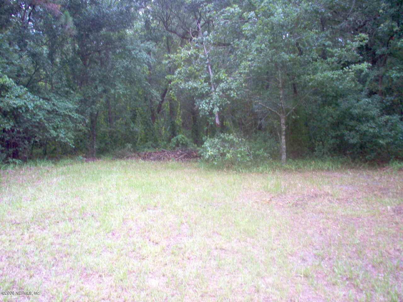 1055 Little Ruth Road Green Cove Springs, FL 32043 - Photo 3 of 3 view of the lot