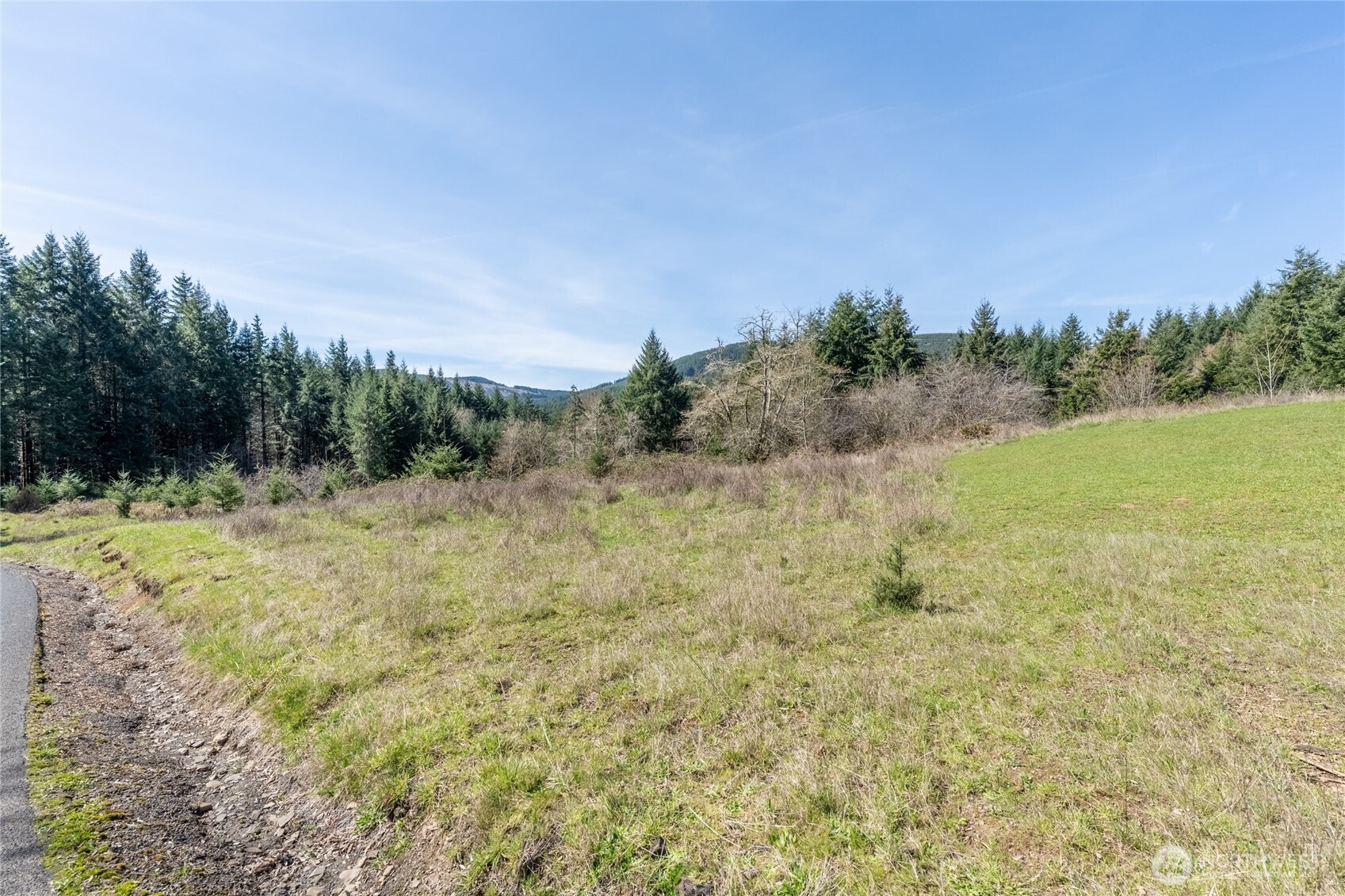 727 Greenwood Road Kalama, WA 98625 - Photo 3 of 17 a view of a field with an trees in the background