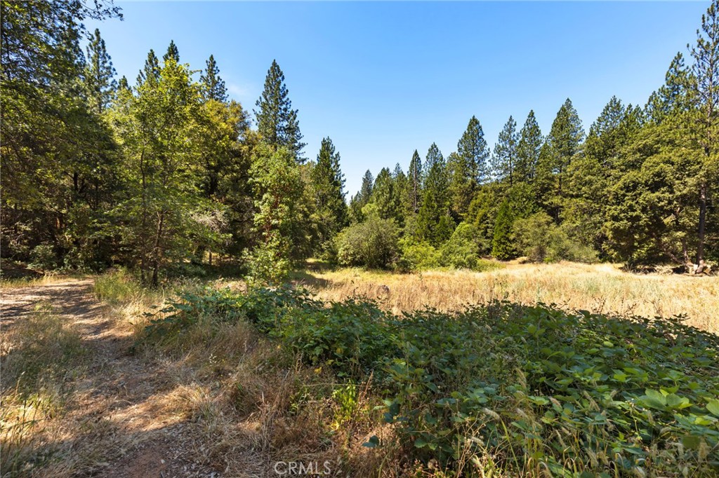 7859 Reed Lane Rackerby, CA 95972 - Photo 17 of 22