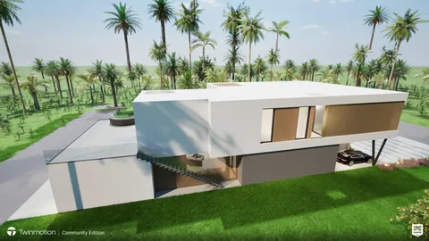 a view of a backyard with potted plants and palm trees