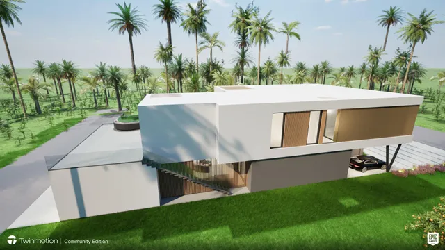 a view of a backyard with potted plants and palm trees