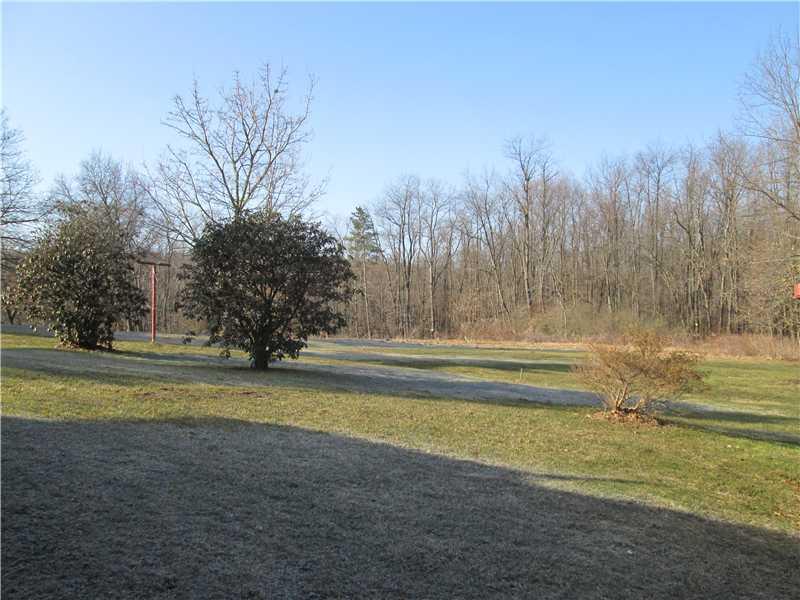 Yard/Garden. 