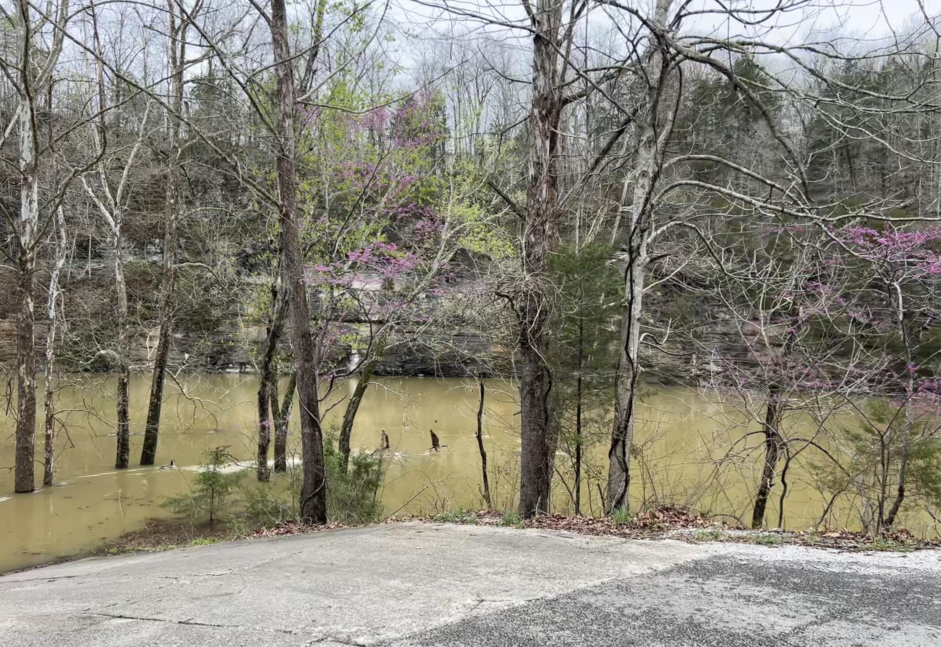 93 Traveler Road Somerset, KY 42501 - Photo 6 of 59 IMG_1411