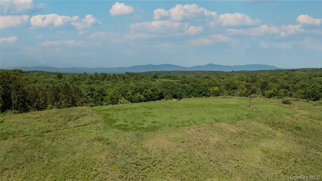 a view of a green yard